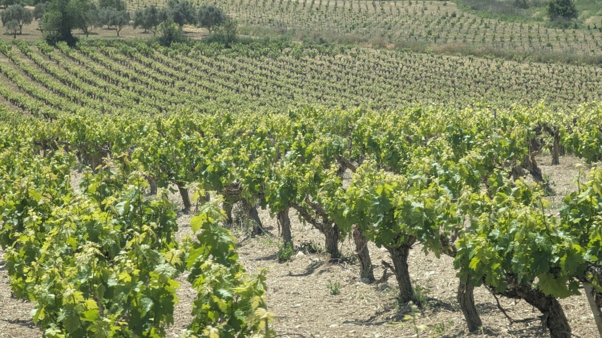 PXL_20250426_092617594